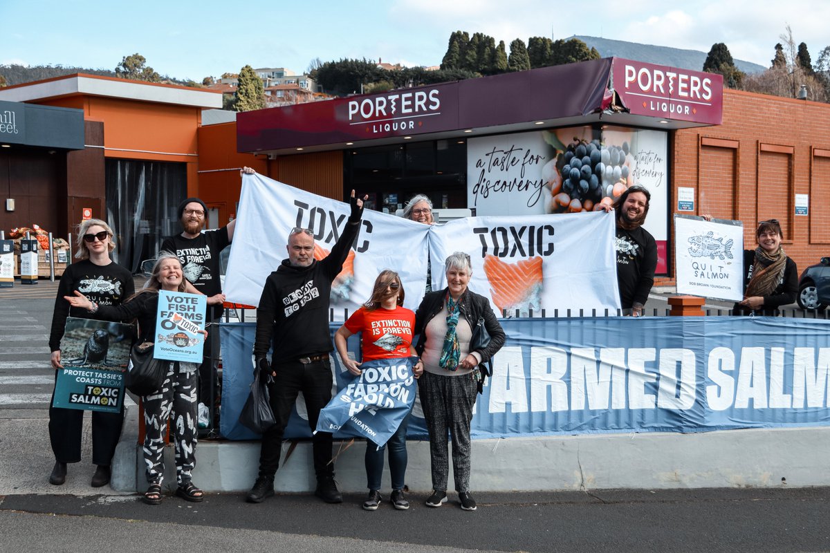 BobBrownFndn's tweet image. Today we protested outside Hill Street Grocer just days after it was revealed that a seal was sedated 5 times before drowning in a Tassal pen, and 15 seabirds were also killed. 
Hill Street Grocer: stop selling toxic farmed salmon! #politas
bobbrown.org.au/hill-street-pr…