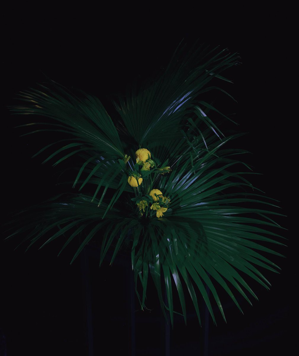 一些美好事物 part2
花艺：成玉
拍摄：Erico
活动：艾缚-秋花 独占秋光里