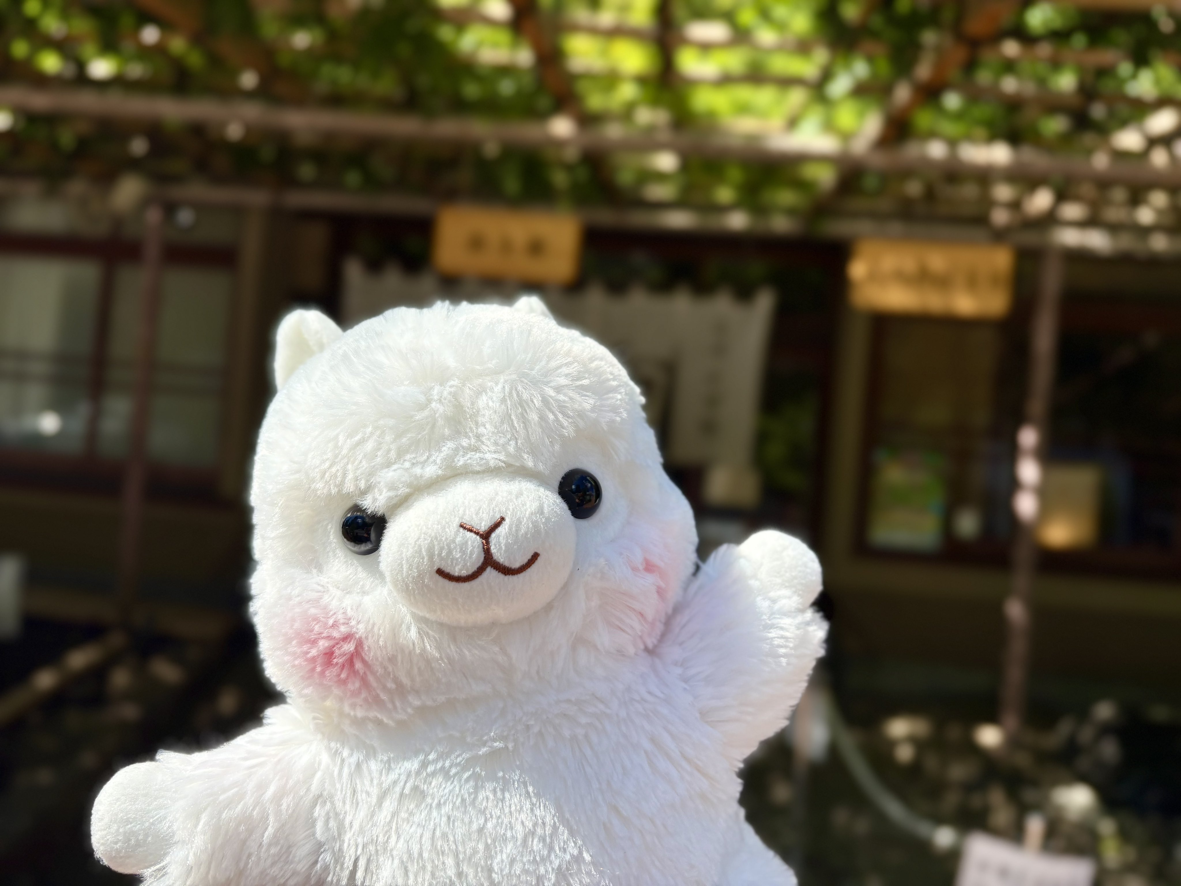匿名発送❗テリアモン　ぬいぐるみ　LOVE　アミューズメント $3 one try