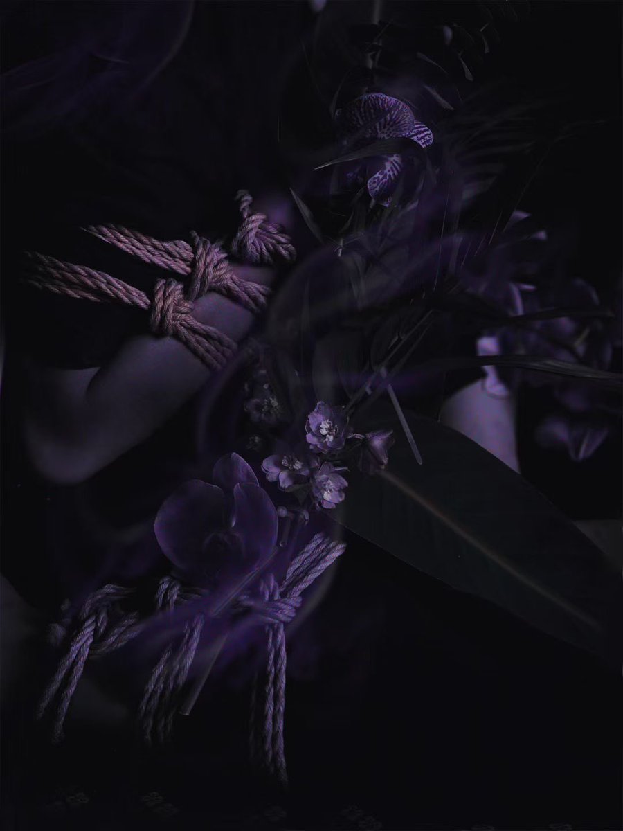 Umbra
🪢：LDC
📷：erico
💐：成玉
🏠：艾缚-秋花 独占秋光里