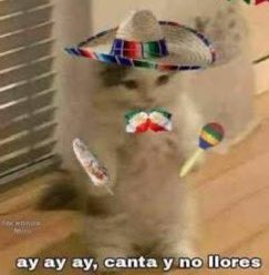 Soy, porque ya empezó el mes más bonito