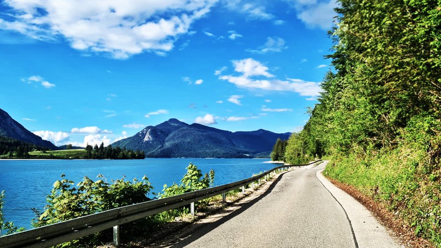 I wish my beloved and much appreciated fellow inhabitants of planet Earth a wonderful good morning and a blessed day on life's journey. May God bless you and may all your wishes come true.❤️💙💚🌱🌿☘️🌳🌲🍀💚