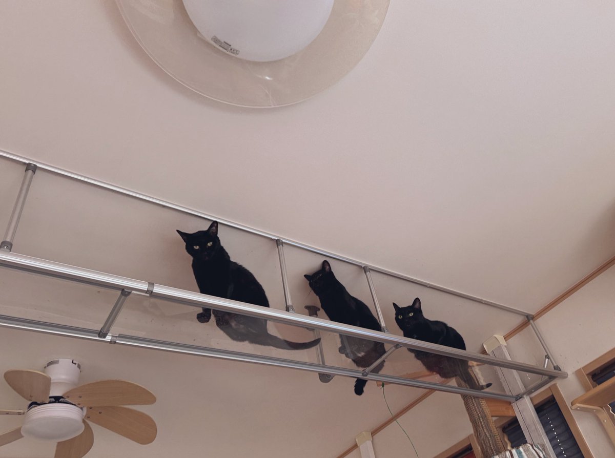 渋滞中