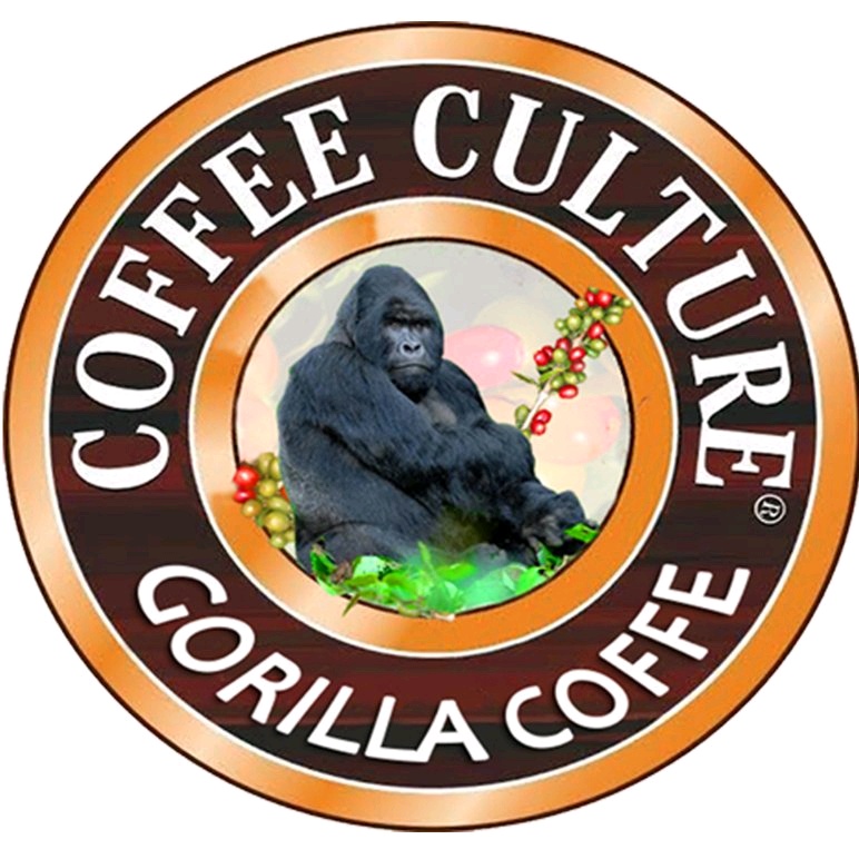 #NouvellePhotoDeProfil