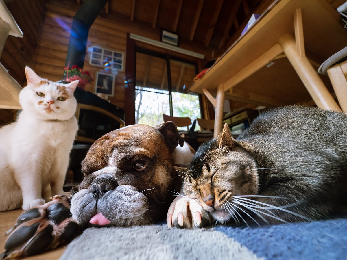 MARCO 🟡写真集「メイ先輩」🟡 (@marco74444) / X