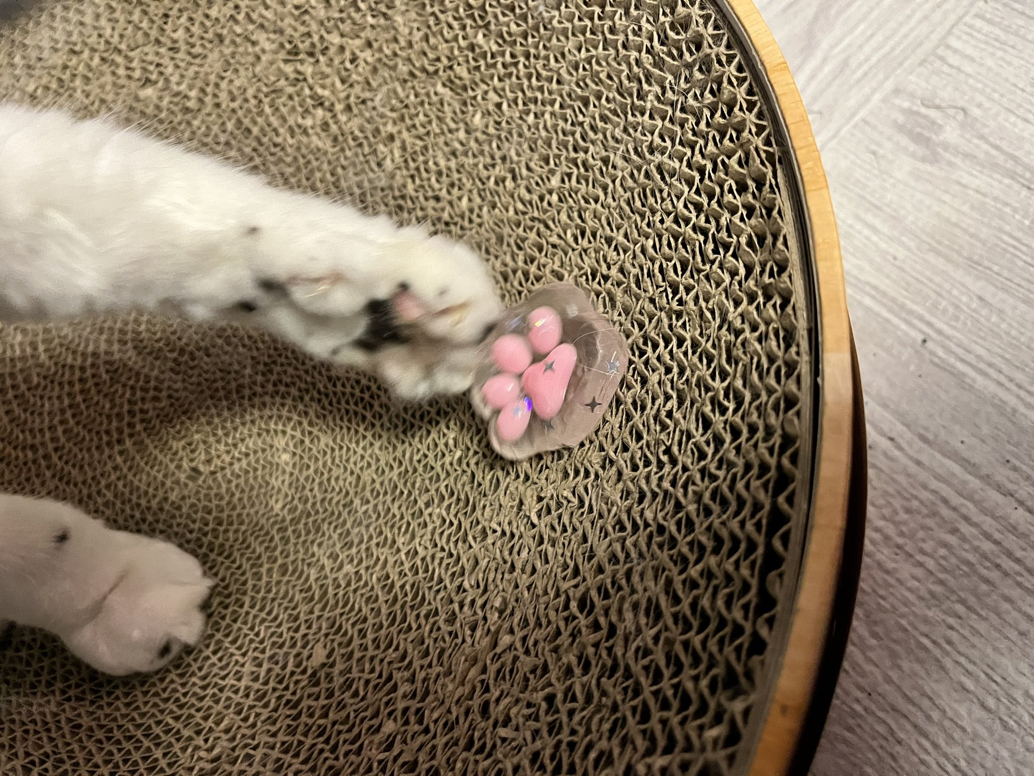 RYUJIN (@RYUJIN323) / X