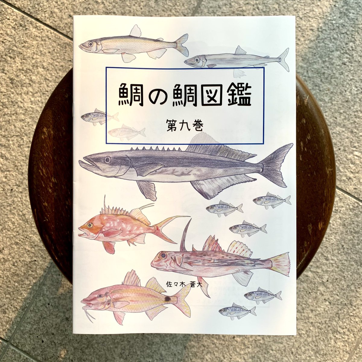 #鯛の鯛図鑑 最新9巻🐟
鯛の胸ビレ付近にある骨は「鯛の鯛」ともよばれ、まるで魚のような形をしています🐟じゃあほかの魚は…？

現在中学生<a href="/ko_sakana_sota/">こさかな そうた《鯛の鯛図鑑》</a>さん制作🐟店内では1〜9巻自由に閲覧いただけます！