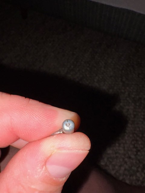 zander_matth's tweet photo. @HyundaiPowerEq Good morning, we purchased a new mower back in February. Since then the clutch cable has snapped and the handles have bent. We have contacted support multiple times and have yet to receive a response. Can someone please get back to me? https://t.co/egUVDhskAG