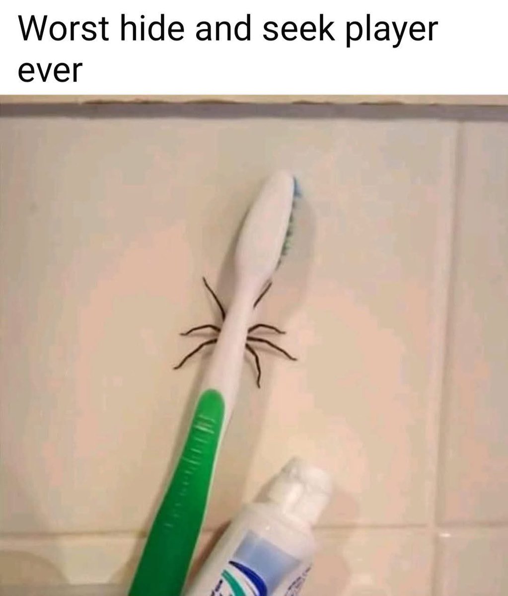 Gz0h6IdacAA6bGq