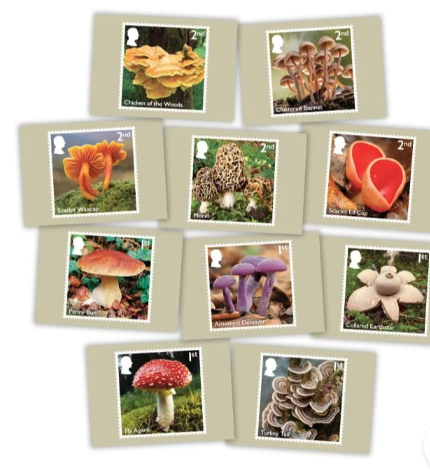 🍄Aren't these just wonderful for Autumn postcard sending. Can even get matching postage stamps💌#Fungi #PostcardTuesday #PostcardDrop2025 <a href="/RoyalMail/">Royal Mail</a> shop.royalmail.com/special-stamp-…🍄