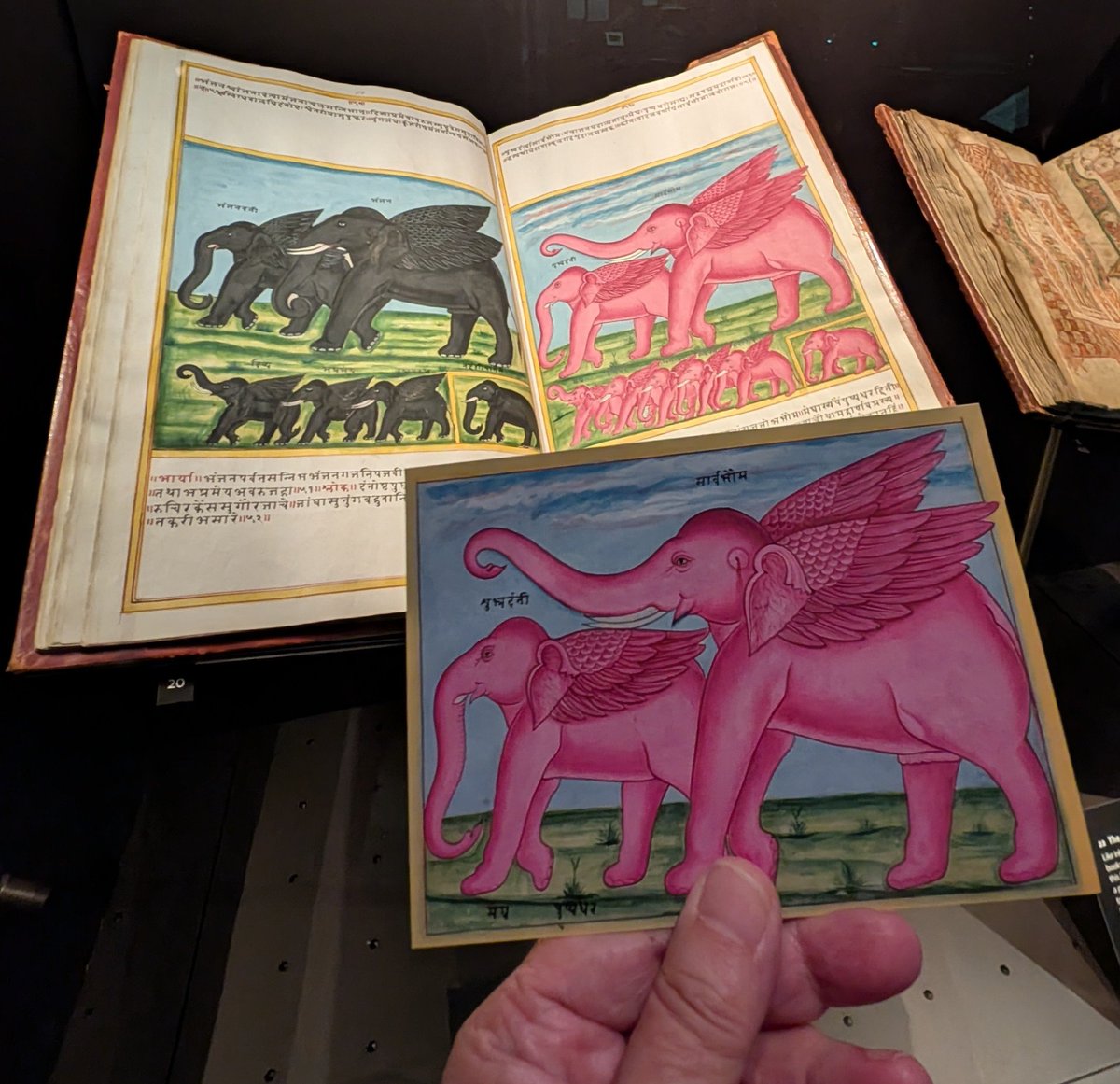 Some extreme deltiology at the Weston Library, Oxford yesterday. The exhibition 'Treasured' is a gem.
#PostcardTuesday