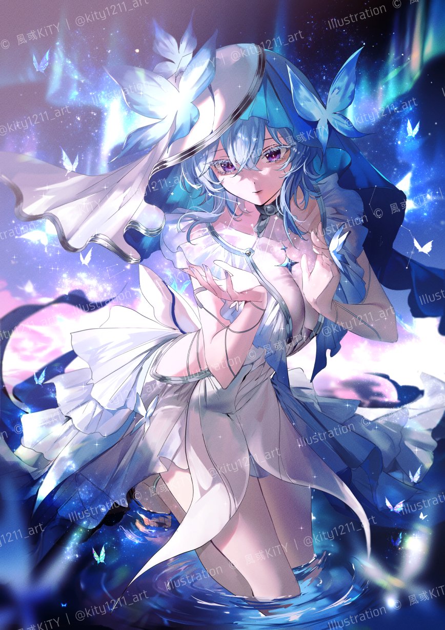 投稿の画像