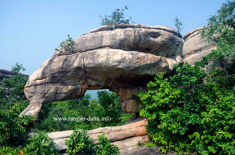 Back with regular blogging. 5 posts in September 

1. Hauz Khas: tinyurl.com/5n8xn5n2
2. Pandava Ghallu: tinyurl.com/mr9sanaj
3. World Mosquito Day: tinyurl.com/58kxakf4
4. Charnockite: tinyurl.com/ycxz368y
5. Chowmahalla Palace: tinyurl.com/y5dj7ctu