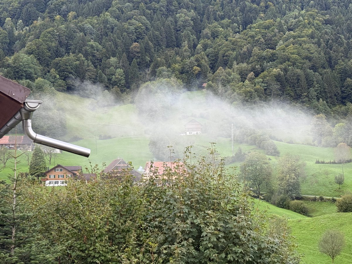Herbst.

Die Glückszeit für Holz- und Pelletofenbesitzer.

Wieder die eigene Familie krank machen.

Die Lebenserwartung der Kinder deutlich verkürzen.

Nachbarn terrorisieren.

Umwelt und Klima maximal schädigen.