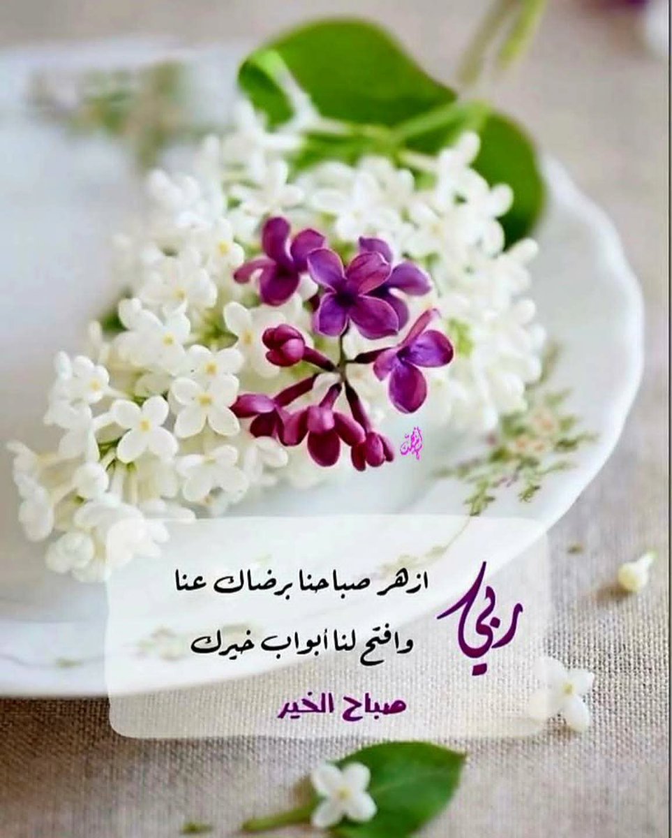 صباح الخير ... اللهم جبرا يليق بعظمتك و قوتك و جبروتك .... اللهم جبرا لا انكسار بعده ابدا 💐💜