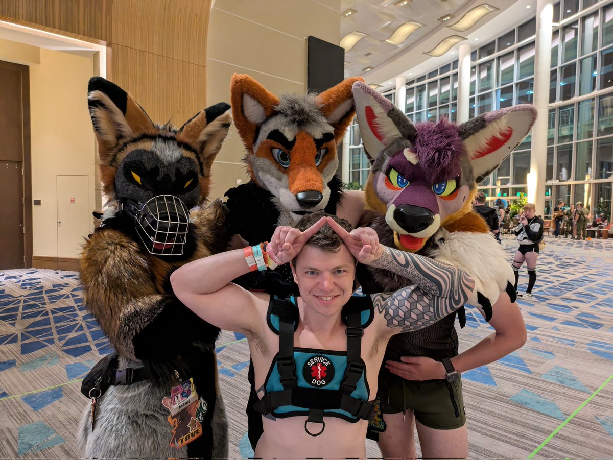 <a href="/lake_coyote/">Lake Coyote</a> <a href="/PPlushness/">Pumpkin 🎃</a> <a href="/CassiusF0x/">CASSIUS</a> <a href="/Thornthefox/">Thorn</a> Good shapes