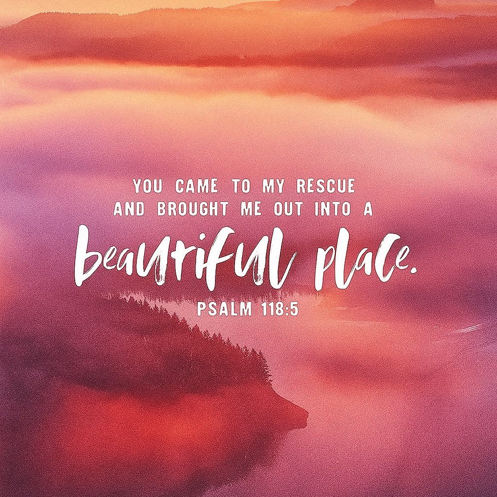 The Bible tweet media