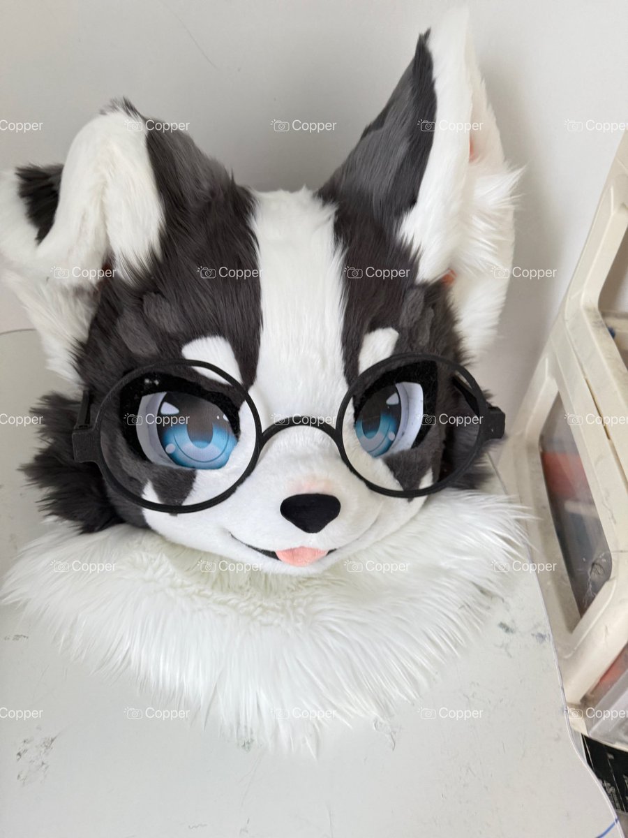 A very polite puppy🐶👓Commission display #fursuit #fursuitmaker #fursuithead
#fursuitcommissions #fursuitcommission #fursuits #fursuite #furry #furrvfriends #furryfandom #furrvartwork