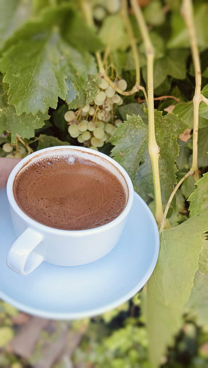 Kahve saati geldiyse... #günaydın