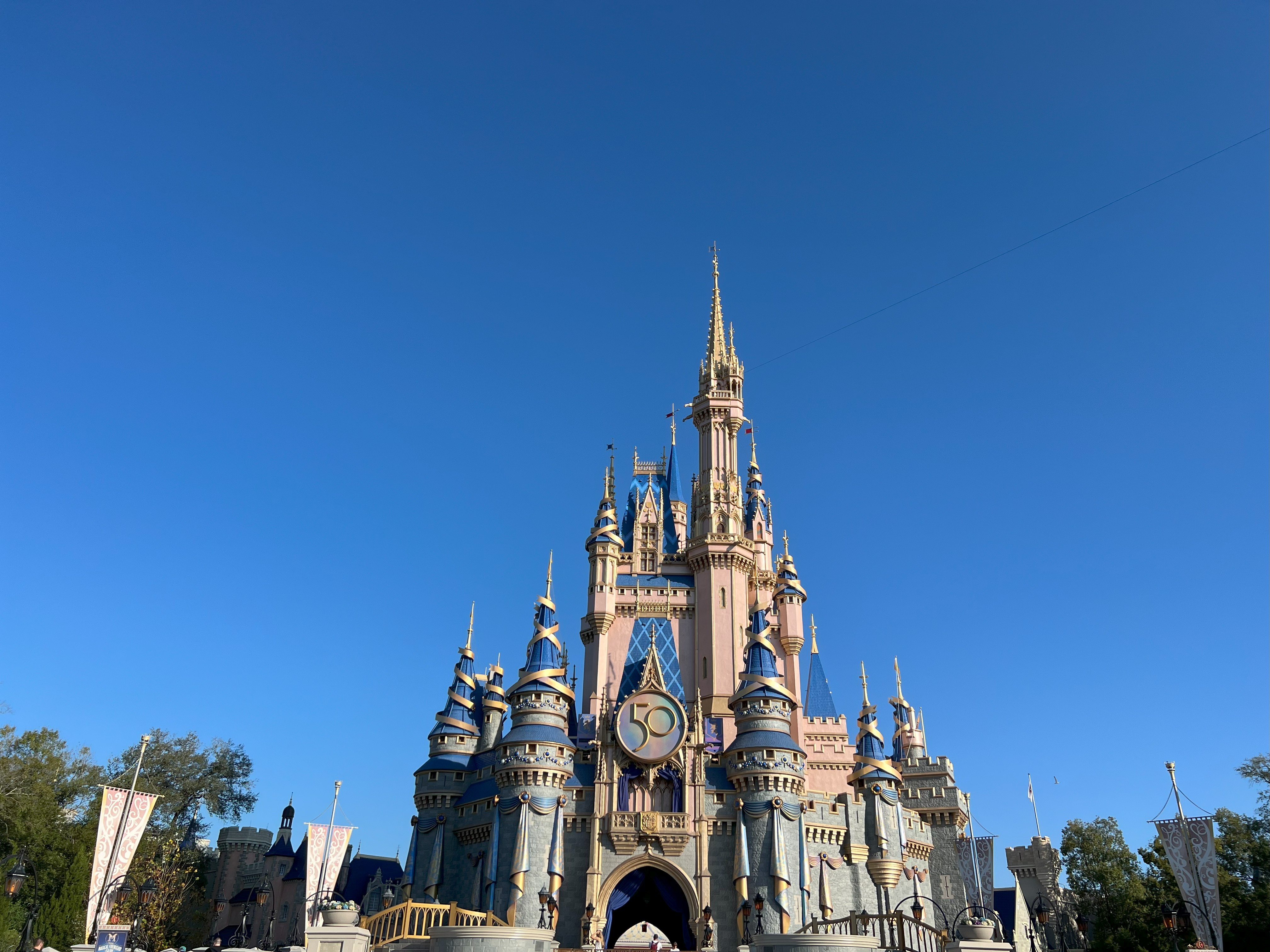❤️ディズニリゾート、確認用❤️ DIZ課 (@wjt_themepark) / X