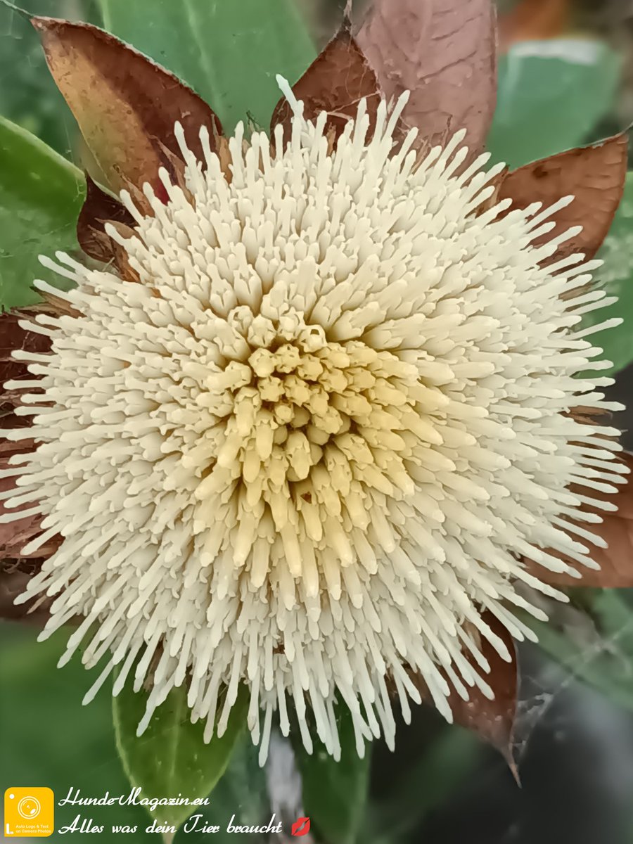 Manchmal muss man genauer hinschauen und in die Tiefe blicken um die Schönheit zu erkennen.