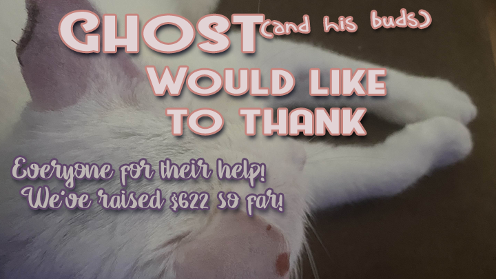 CRschilliger's tweet photo. ~Sorry for the lack of updates, I meant to do this a couple of days ago but it's been kind of a... something... few days honestly.~ 
More (actual) update over at the #gofundme 
💜🐱 https://t.co/8BeoGfVLKn