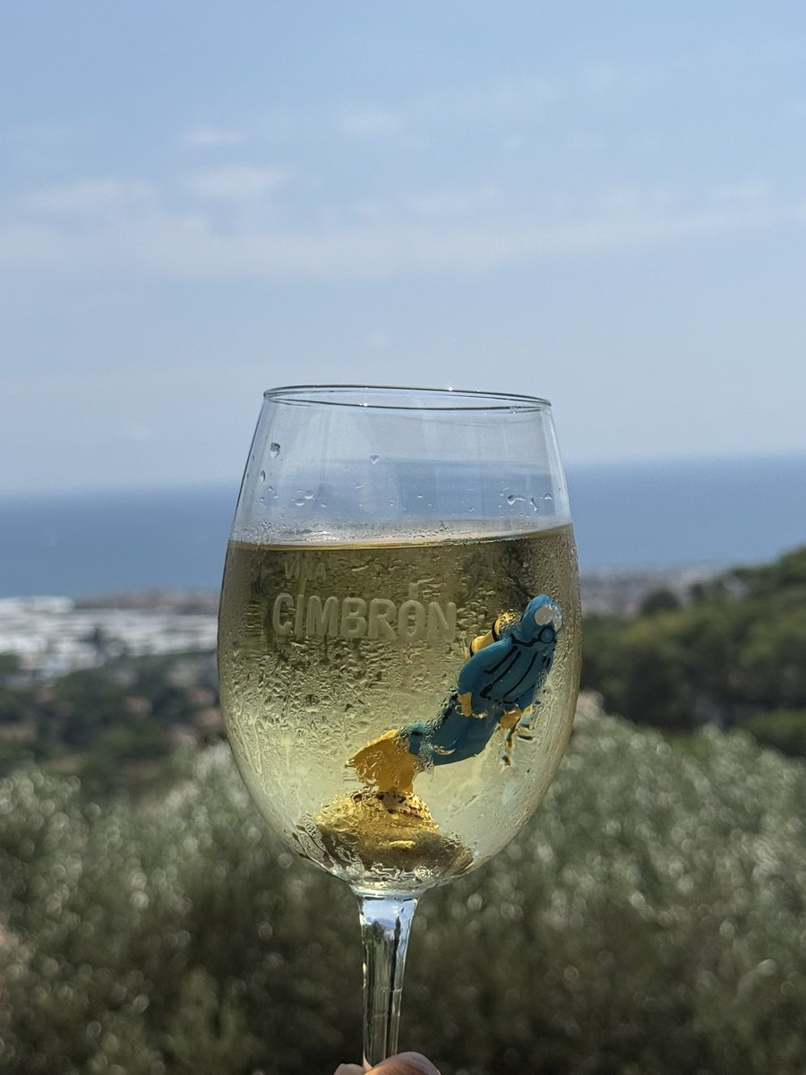 Stills Cimbrón Summertime!!!!