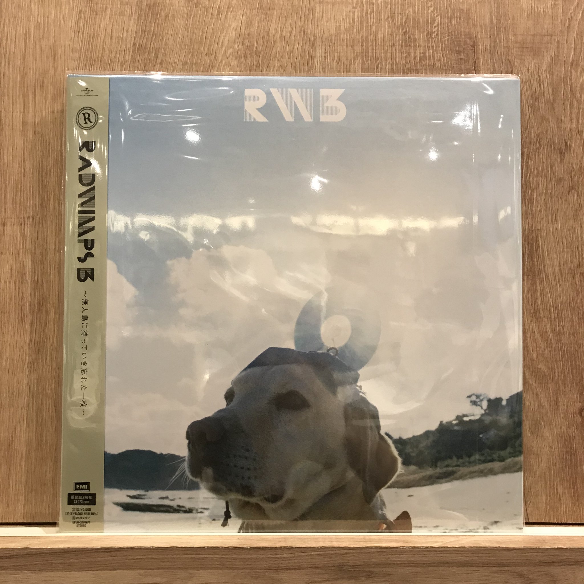 RADWIMPS アルバム3枚セット レコード radwimps-zettai-zetsumei-vinyl