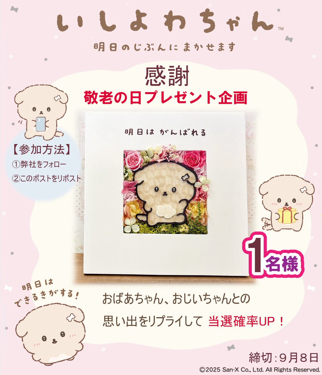 みー🐰 (@rabbit_usamin) / X