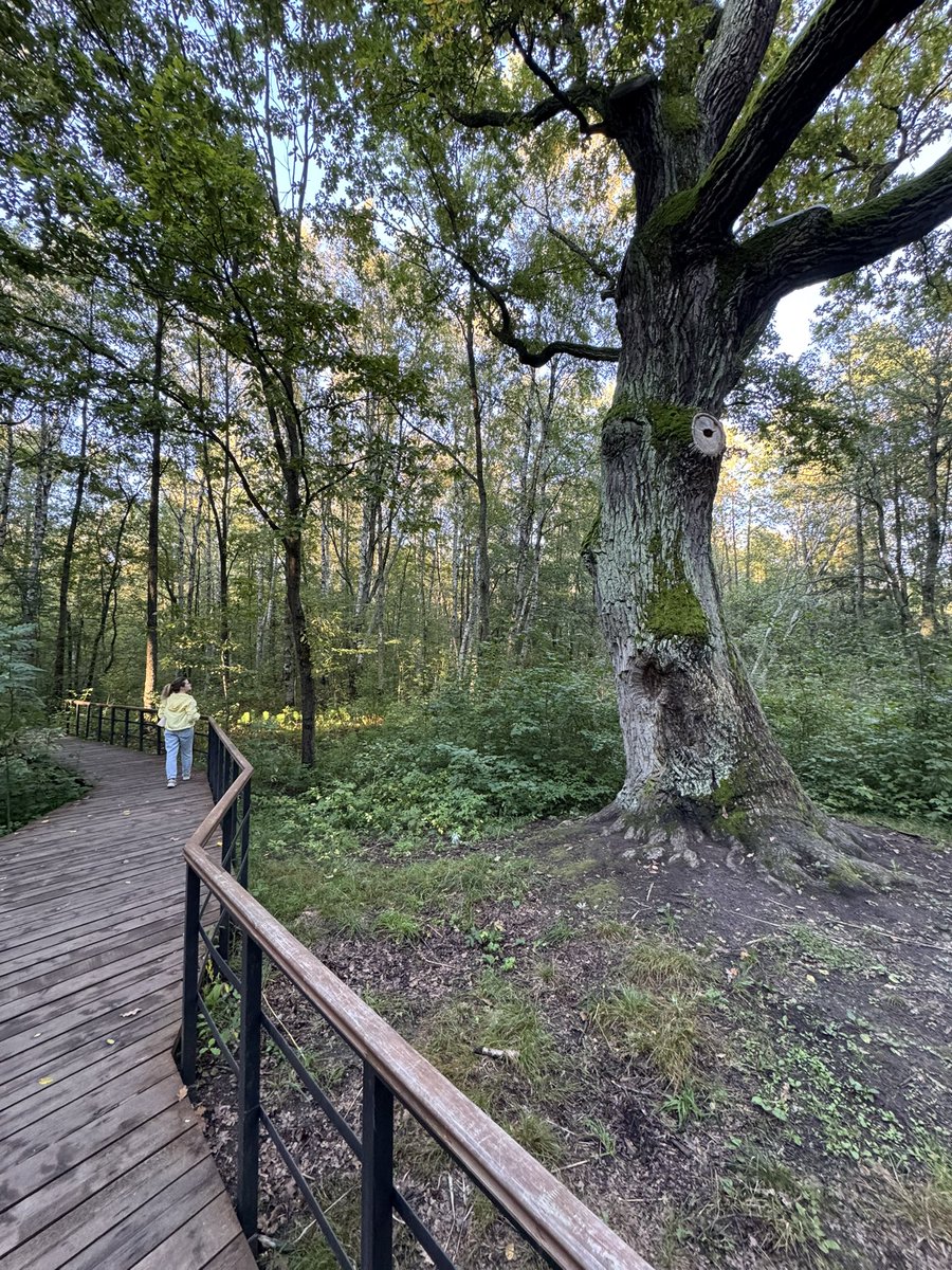 За Лахта центром проложили крутую историческую экотропу «Петербург 17 века»