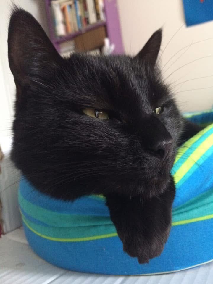 Déjà un mois aujourd’hui que tu es parti mon pote…
Et c’est toujours aussi difficile. Qu’est-ce que tu me manques. 🖤