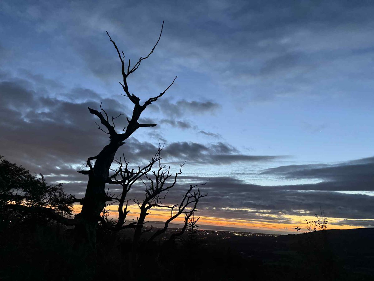 Rampikes at dawn #TuesdayMotivaton #sunrise