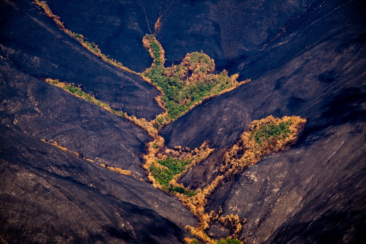 Altermundo. Manoel Santos tweet media