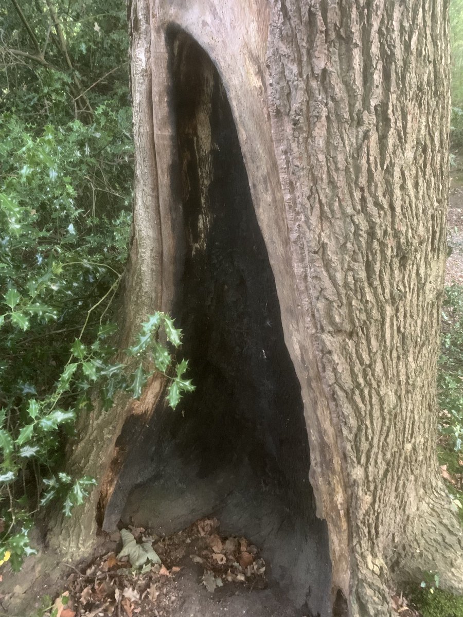 GavinM_onair's tweet image. A quick Monday afternoon wander #northwales