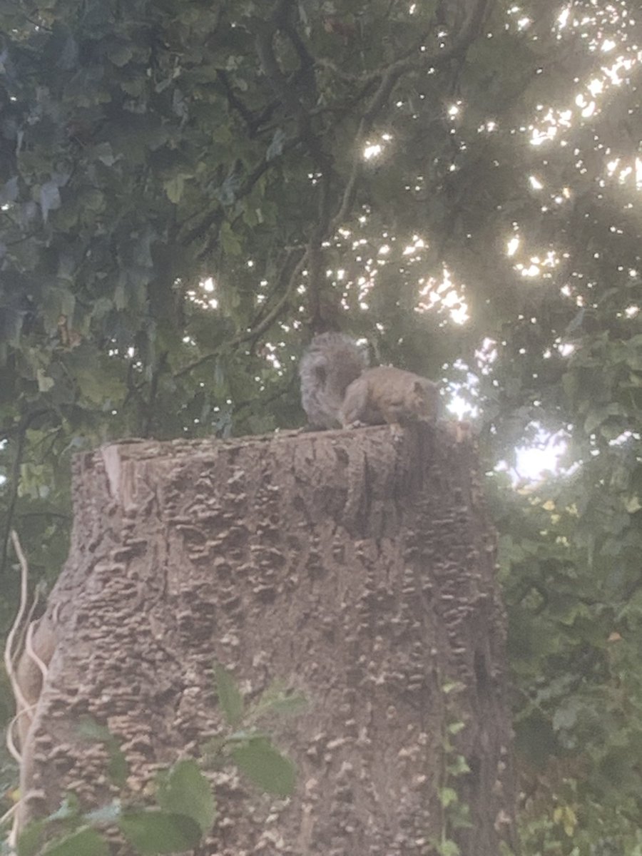 GavinM_onair's tweet image. A quick Monday afternoon wander #northwales