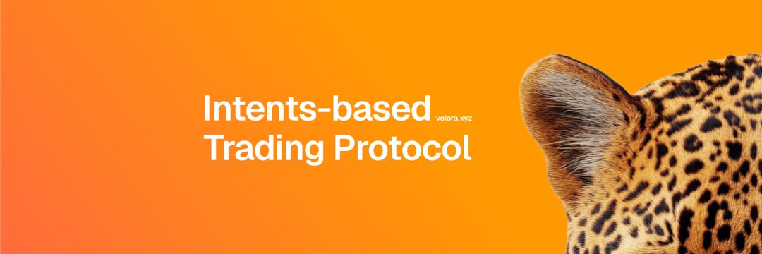 Trading in DeFi can be slow, complicated, and stuck between different blockchains. 

That's where <a href="/VeloraDEX/">Velora (formerly ParaSwap)</a> fixes this by making trading fast, easy, and smooth across many chains.

Resulting in solving a big problem for everyone and changing the game in DeFi.

This sounds great.