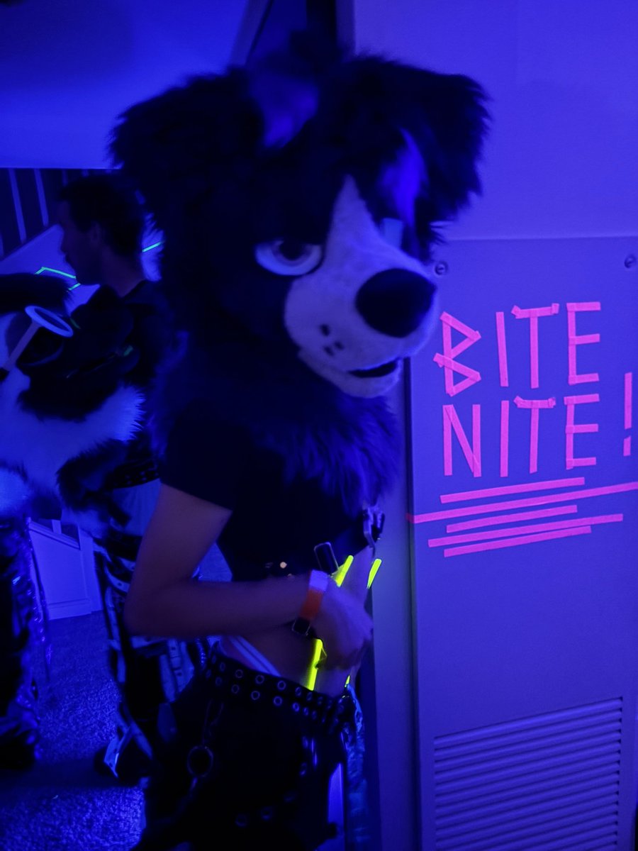 suri (ยดใปฯใป๏ฝ) (@_surishen) on Twitter photo my first con was so fun.
made me realize that furries are really my people, even among the heat and exhaustion, this is just the beginning 4 me >:3
some ๐ธ by <a href="/FlowTheWolf_/">Flow the Wolf ๐ MP โฑ๏ธ, FM</a> (the nice ones)
and ofc shoutout to my sweetheart <a href="/ringohyena/">๐พRingo๐พ</a>(๐) for taking me even though i drove :p my first con was so fun.
made me realize that furries are really my people, even among the heat and exhaustion, this is just the beginning 4 me >:3
some ๐ธ by <a href="/FlowTheWolf_/">Flow the Wolf ๐ MP โฑ๏ธ, FM</a> (the nice ones)
and ofc shoutout to my sweetheart <a href="/ringohyena/">๐พRingo๐พ</a>(๐) for taking me even though i drove :p