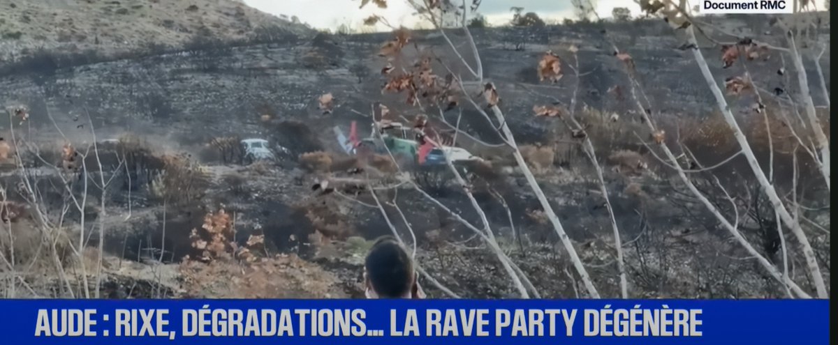 Grâce à BFMTV on voit que les "viticulteurs" ayant retournés les véhicules et attaqué la fête et les participants sont protégés par les Gendarmes et marchent tranquillement à leur coté armés de leurs bâtons.