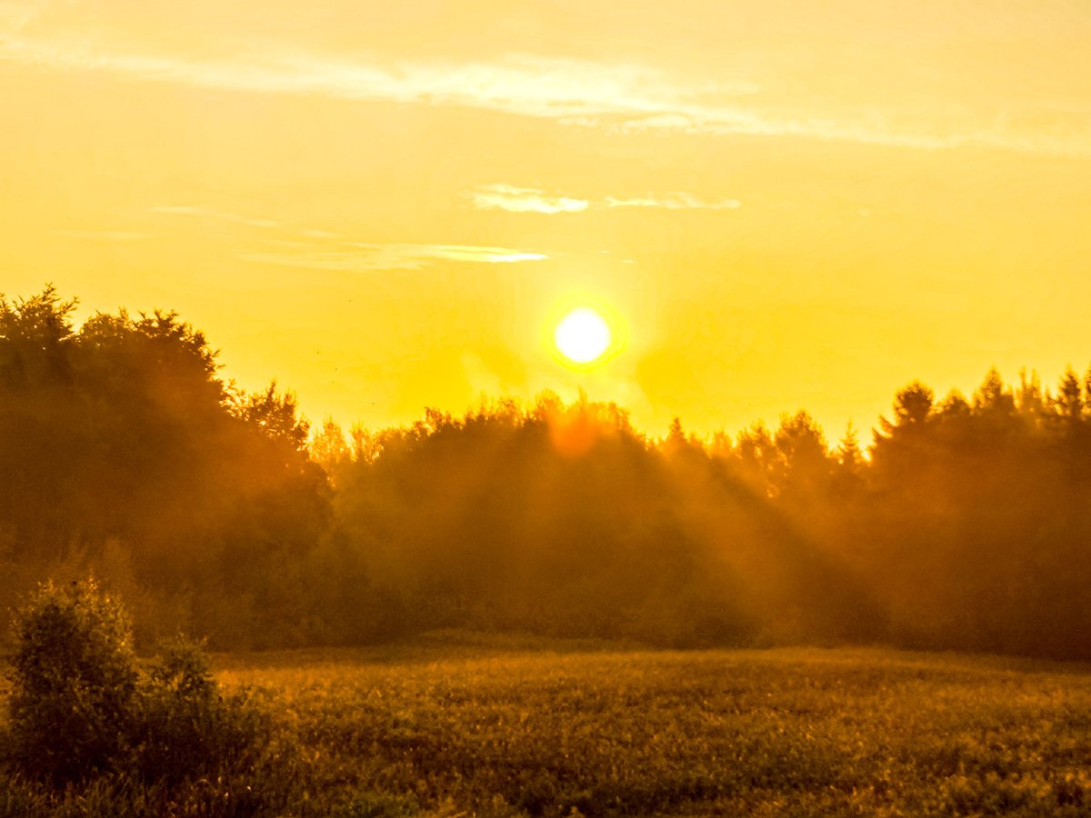 NideckaAnna's tweet image. Poranek na Kaszubach
#Kaszuby #pogoda #wschódsłońca