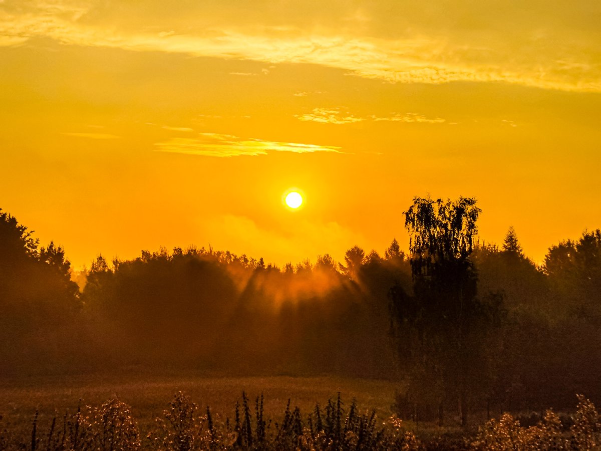 NideckaAnna's tweet image. Poranek na Kaszubach
#Kaszuby #pogoda #wschódsłońca