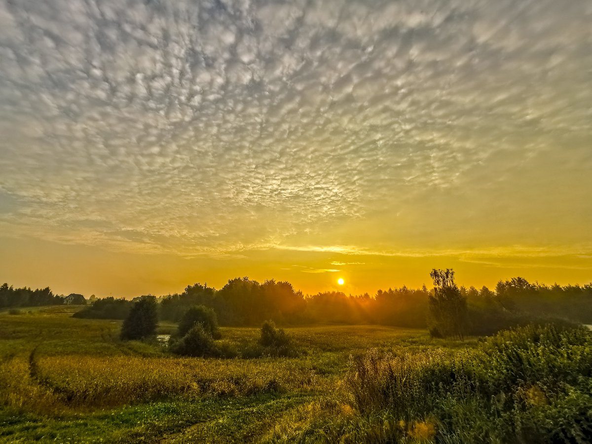 NideckaAnna's tweet image. Poranek na Kaszubach
#Kaszuby #pogoda #wschódsłońca