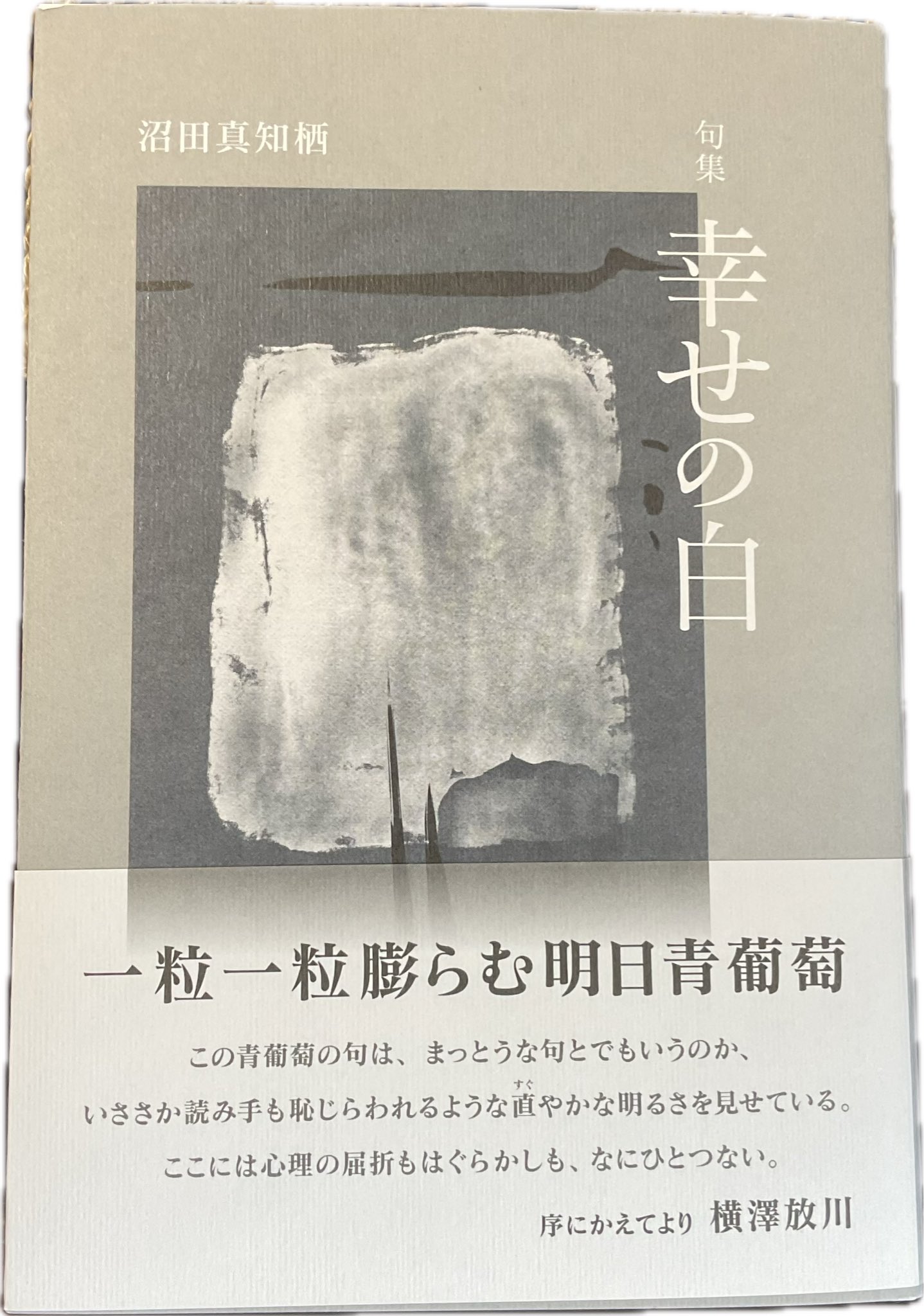 【中古】 見沼野 武井三重句集/ふらんす堂/武井三重 ふらんす堂 (@furansudo) / X