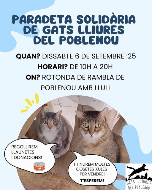 isabel esteve (@isagato62) on Twitter photo 