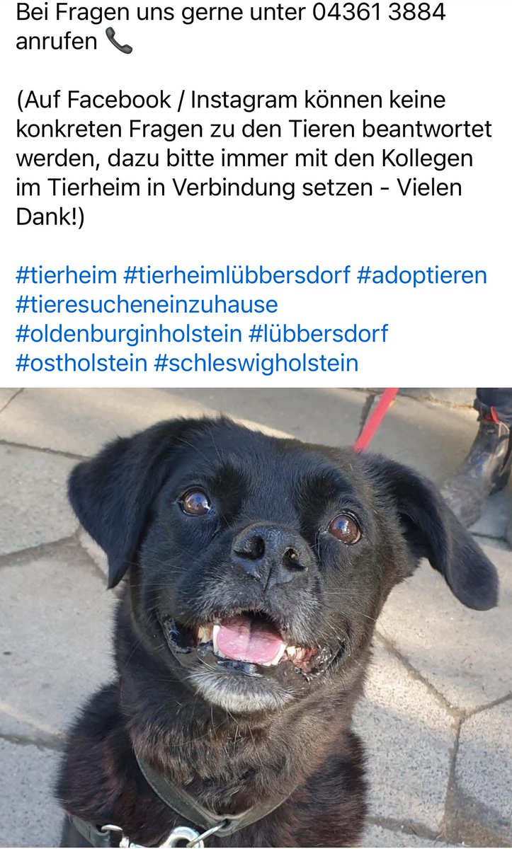 die Terrorgruppe (@gloreichesieben) on Twitter photo 