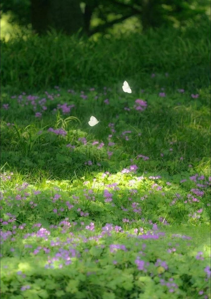 Historic Page (@hist0rypage) on Twitter photo 