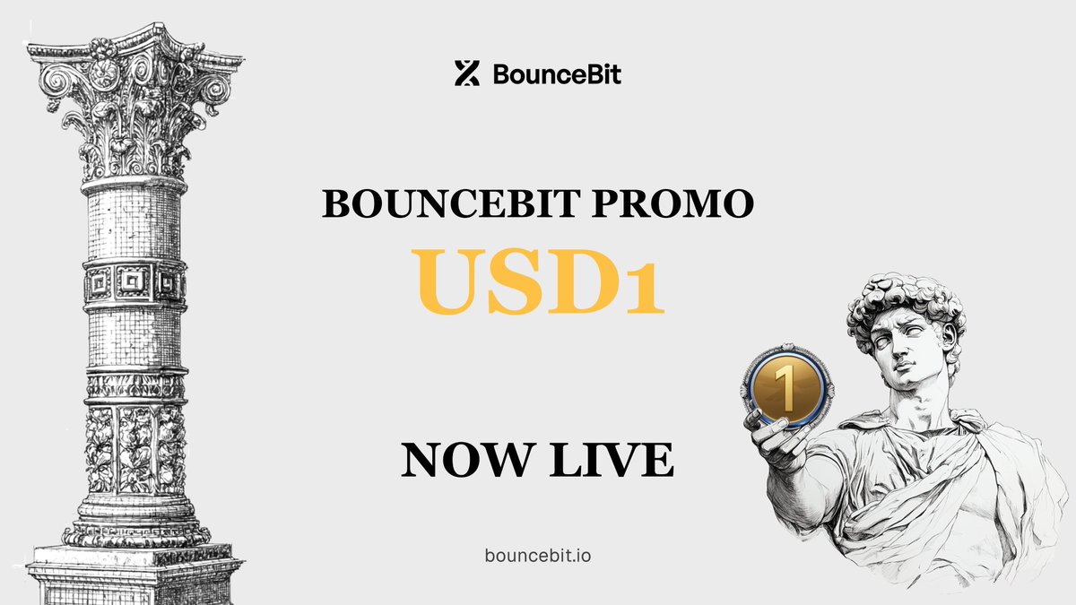 The USD1 BounceBit Promo is now live!

• Stake USD1 on BSC 
• Fixed 12% APR
• 60-day term 
• Capped at $1m USD1 (no individual limits)

Link below.