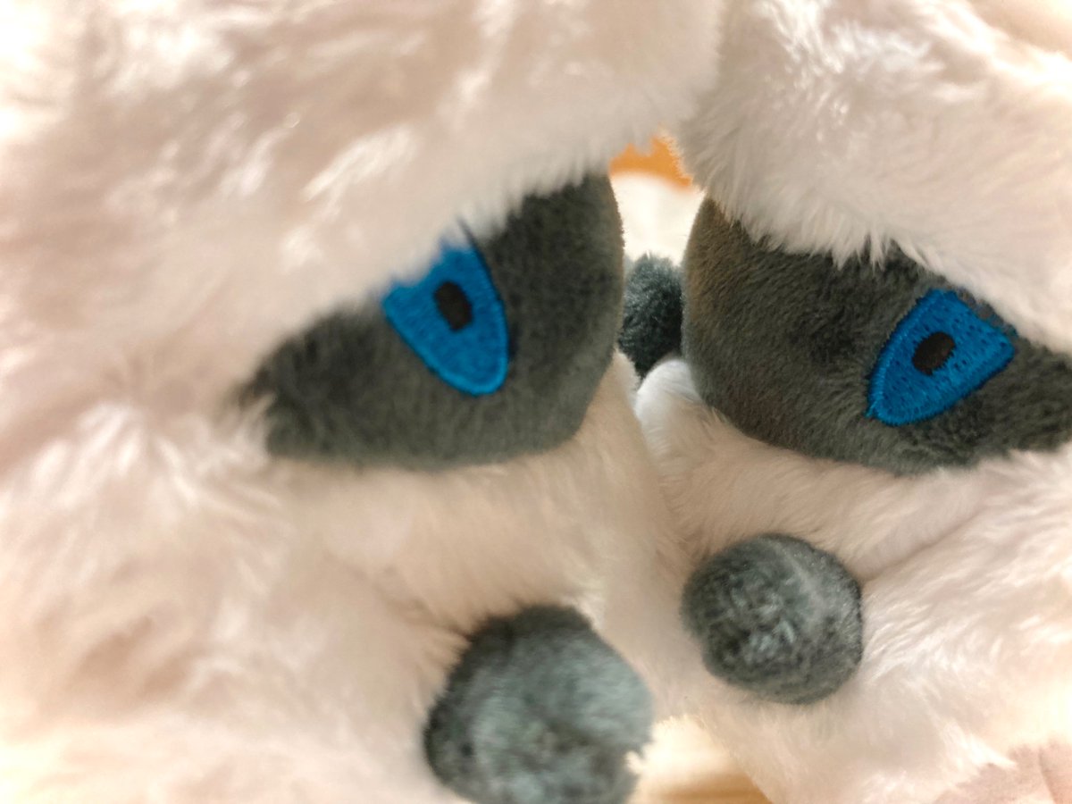 𝓑𝓘𝓖 𝓜𝓞𝓕𝓤 (@pk3566) / Posts / X