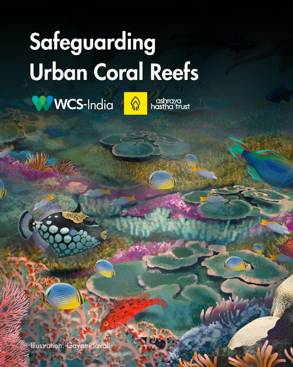 WCS-India tweet media