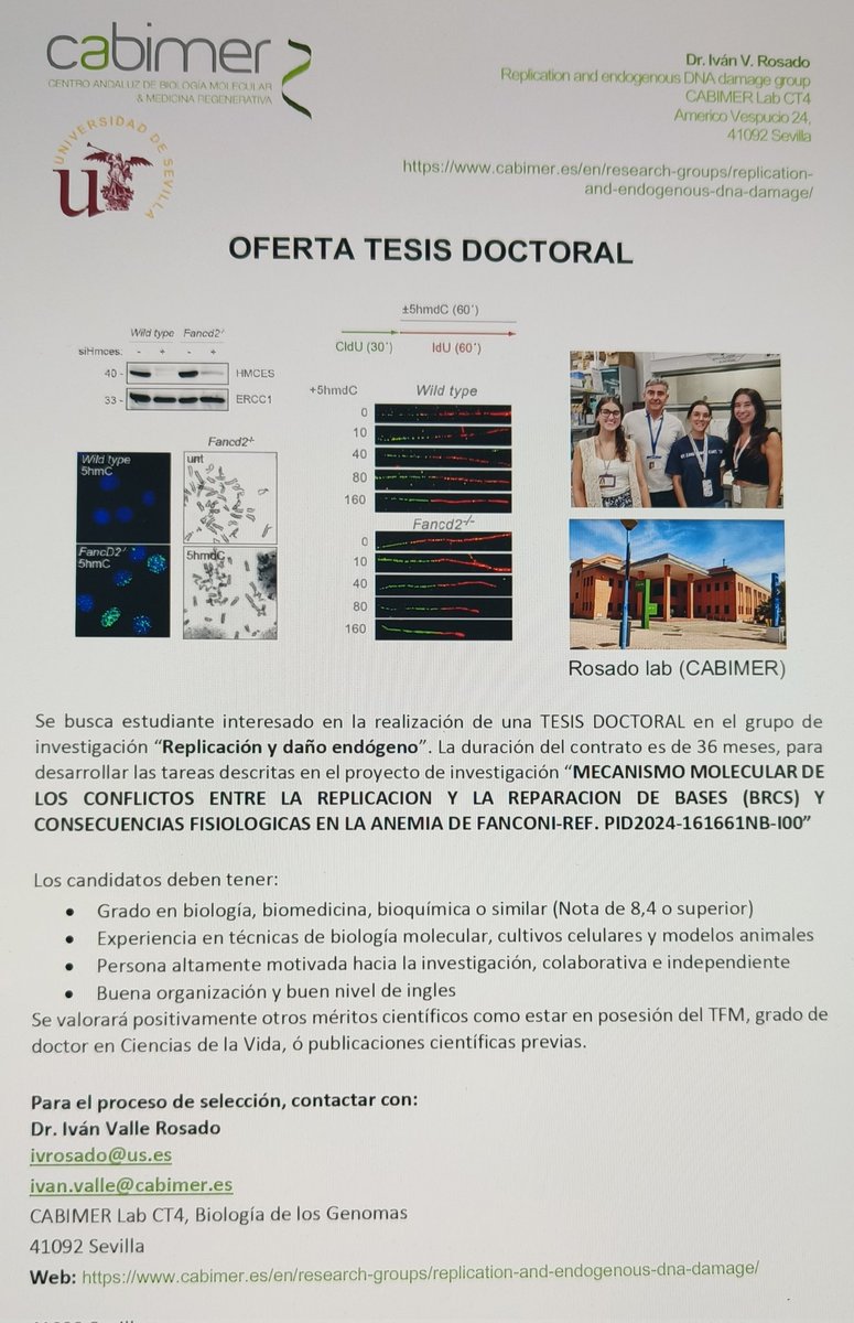 RosadoLab (@rosadolab) on Twitter photo Si estás interesa en hacer una tesis doctoral en tumorogenesis asociada a la inestabilidad genética, contáctanos!!! 
Please RT!! Si estás interesa en hacer una tesis doctoral en tumorogenesis asociada a la inestabilidad genética, contáctanos!!! 
Please RT!!