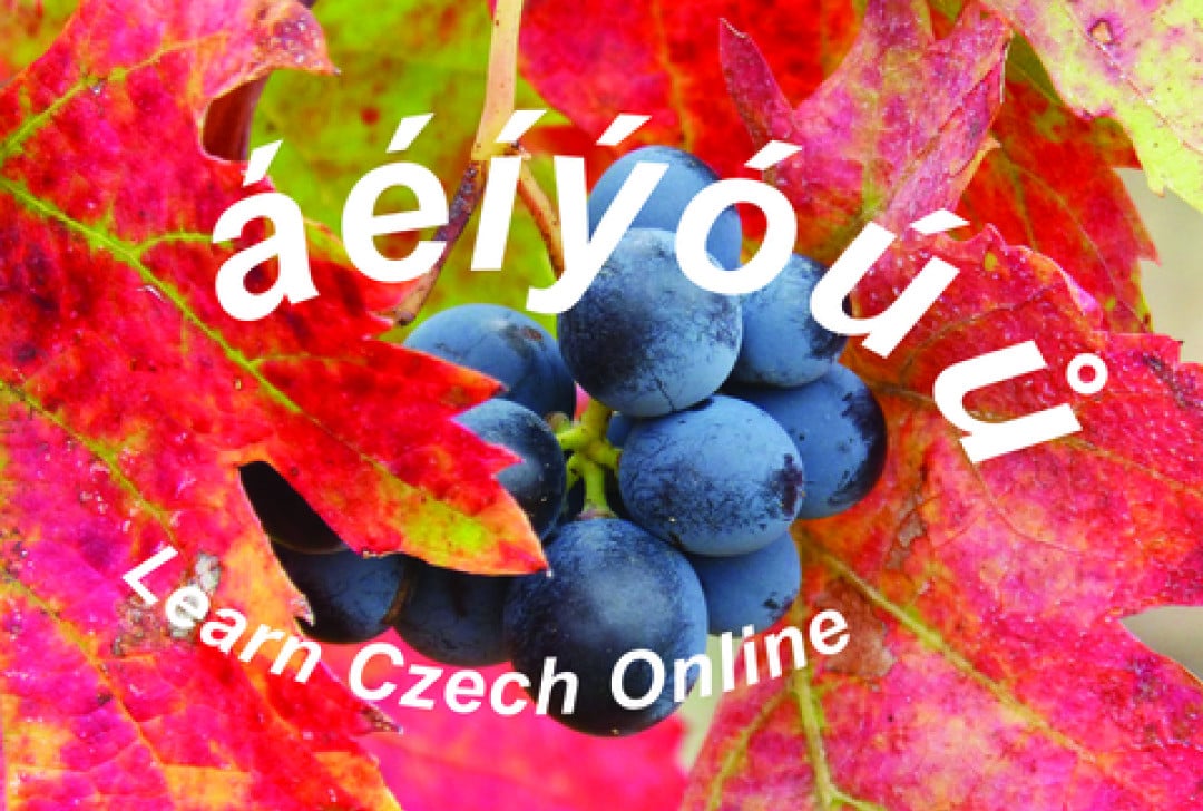 Czech Centre London tweet media